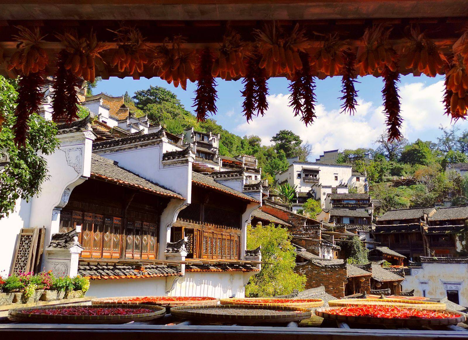 婺源篁岭3.jpg