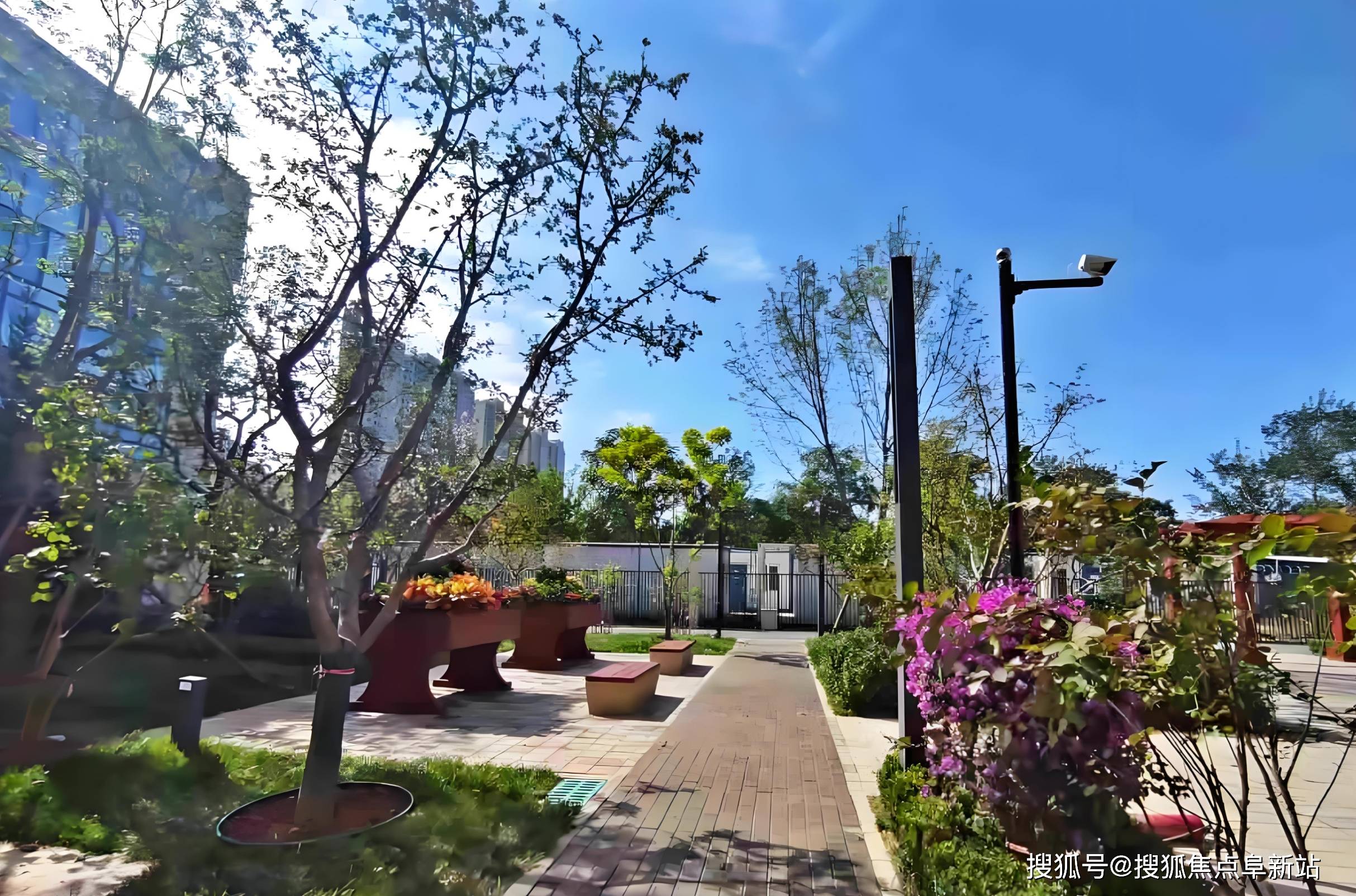 龙湖皓春里(椿山万树养老公寓):2025年11月费用诠释与地址电话速览