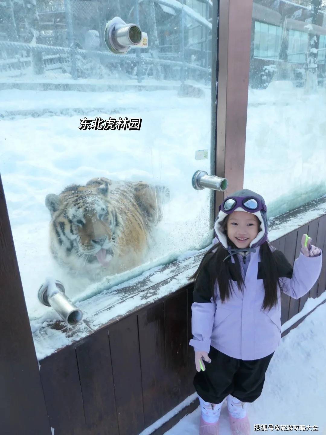 冰雪大世界必玩景点中央大街打卡攻略本地人私藏路线首曝