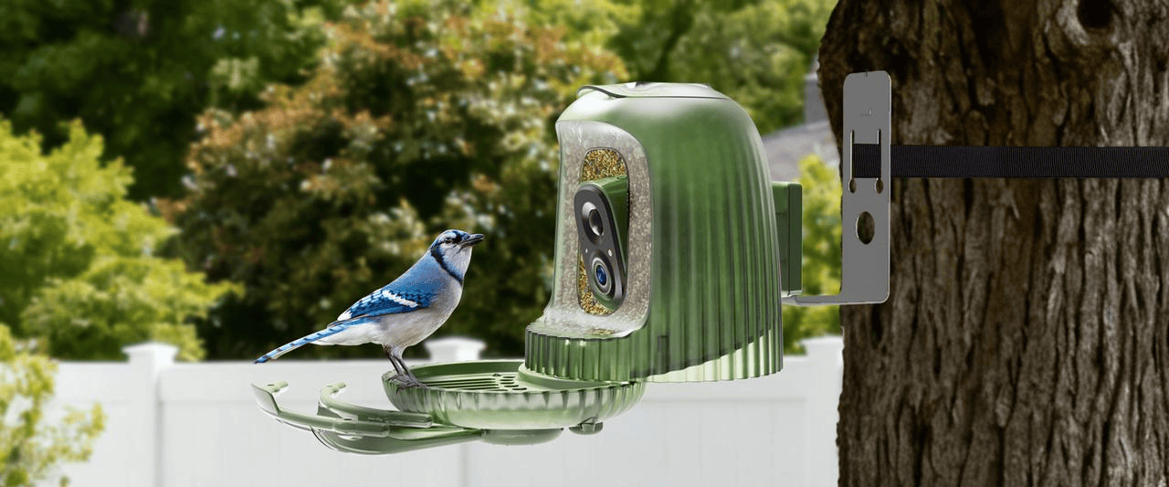 从“看到鸟”到“看懂鸟”：观鸟为何成为一种现代生活方式？