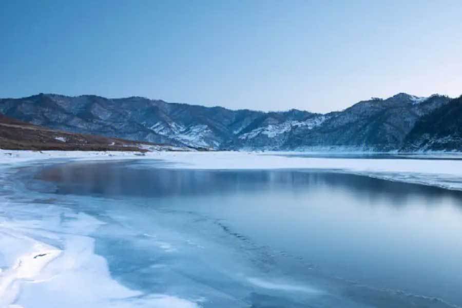 作家发布新书倡导和平