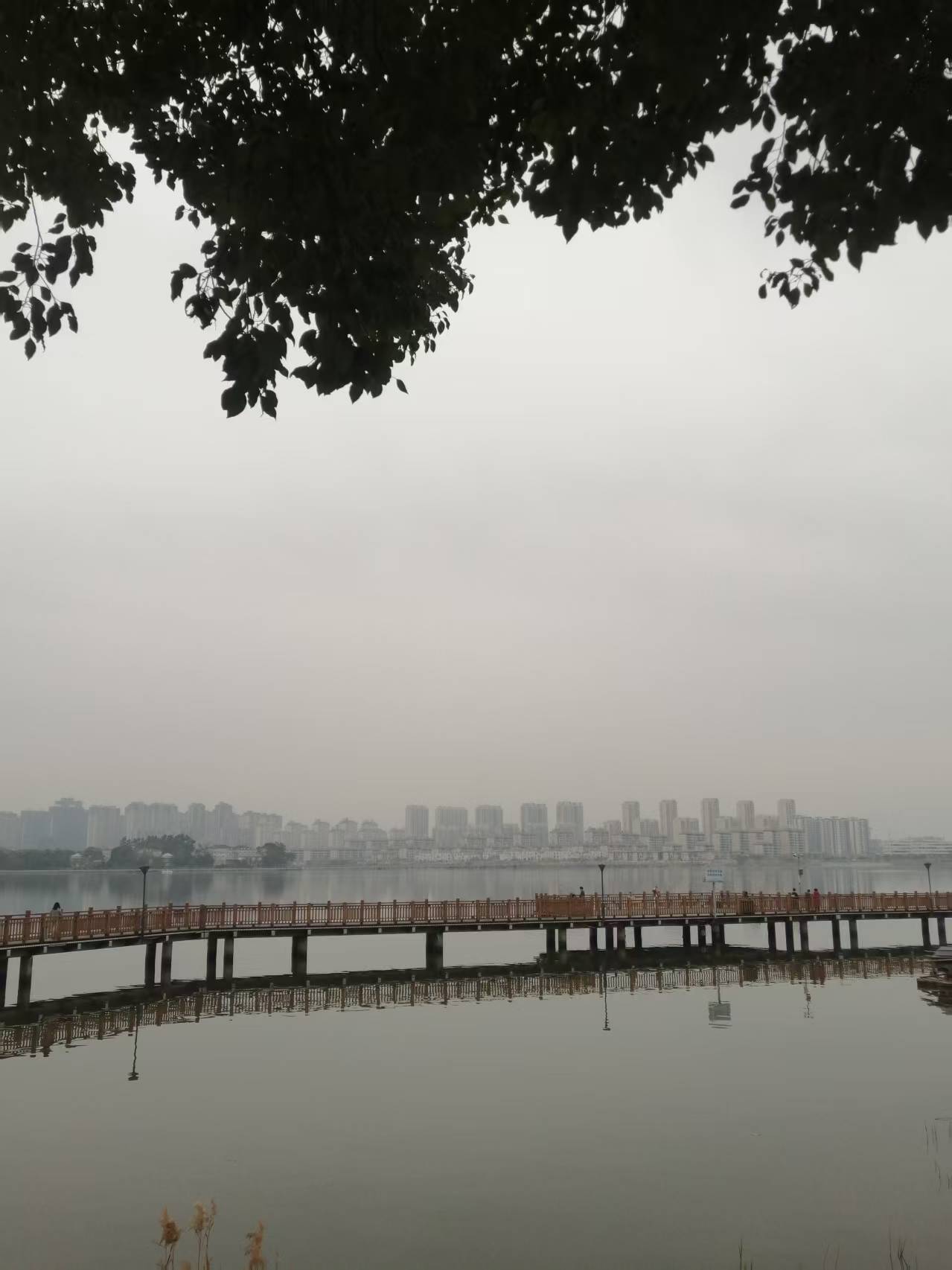 《七律·宁德南岸清平曲》及简析