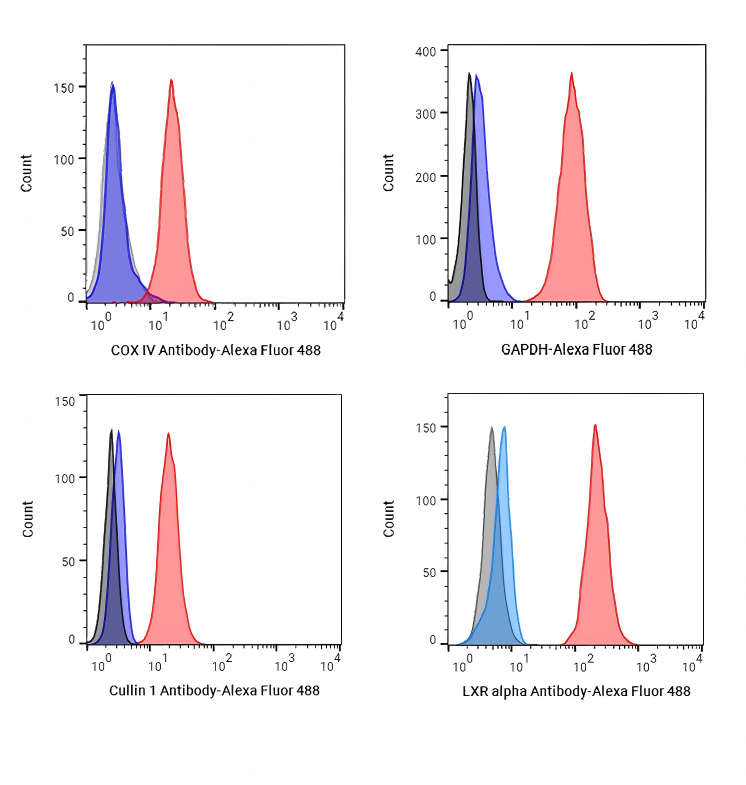 细胞实验必读:流式细胞技术的实验设计及流程详解 | mce