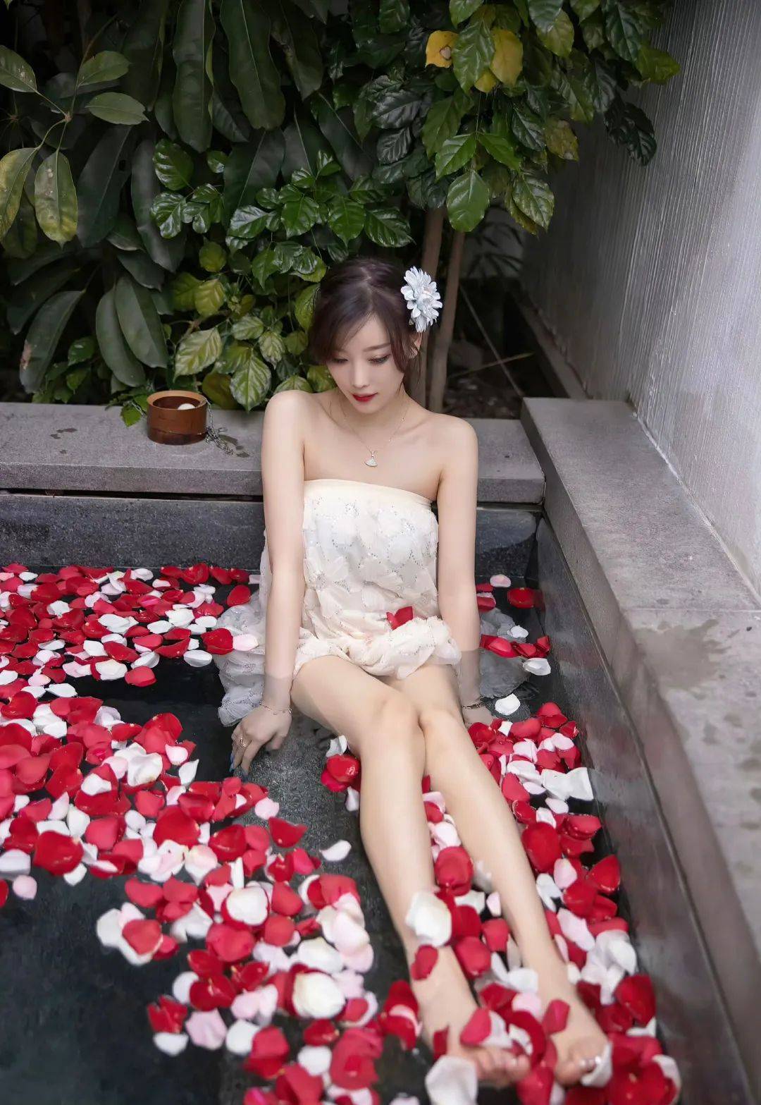 杨晨晨泳池写真惊艳每一张都是你没见过的样子