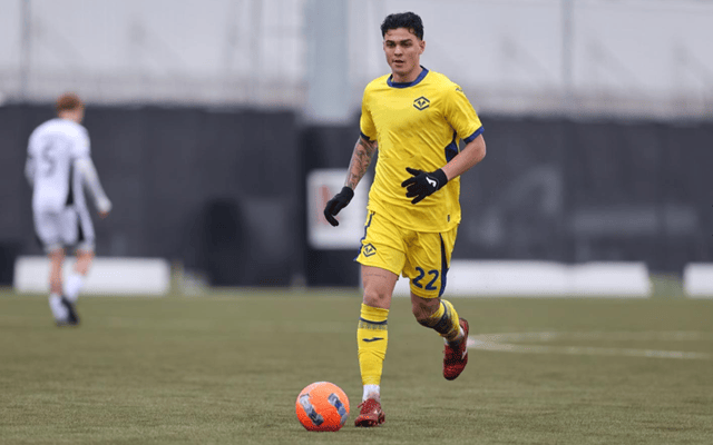 意甲：萨索洛状态有所起伏，维罗纳近期表现尴尬