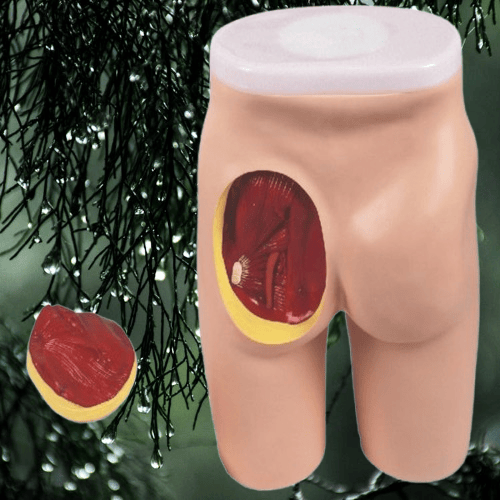 7fff80a-removebg-preview (2).png