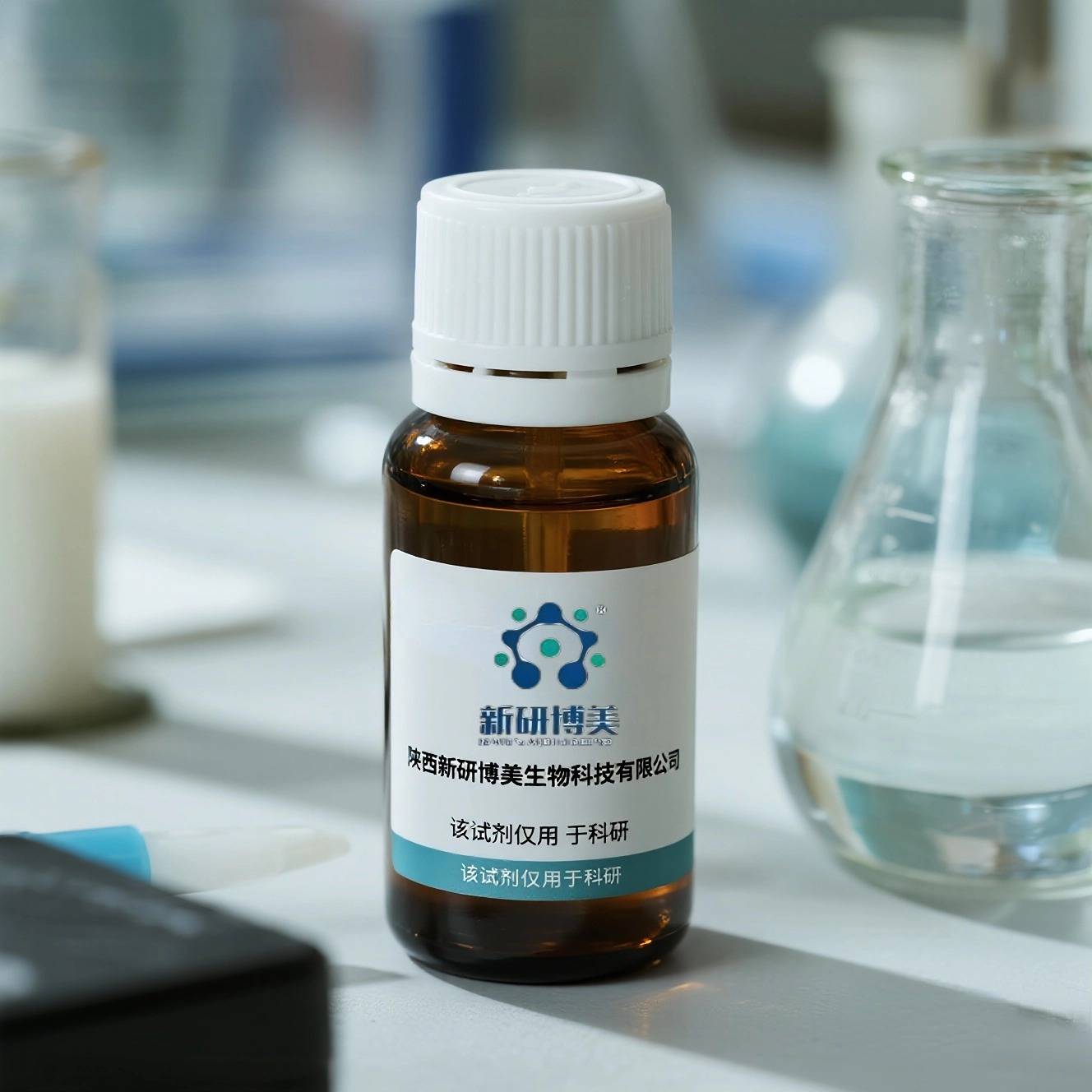 新研博美13.jpg