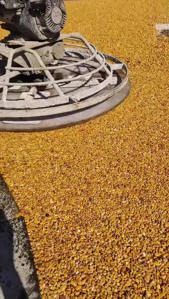 1560.jpg