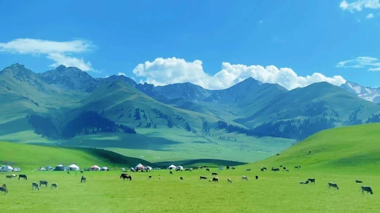 _4_新疆旅行臆想师小陈_来自小红书网页版.jpg