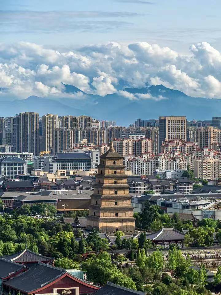 微信图片_20260501204844_2722_29.jpg
