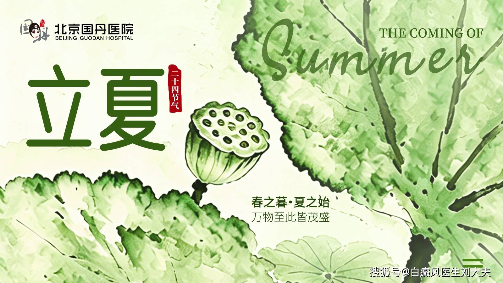 把握立夏养护黄金期，助力白斑平稳恢复