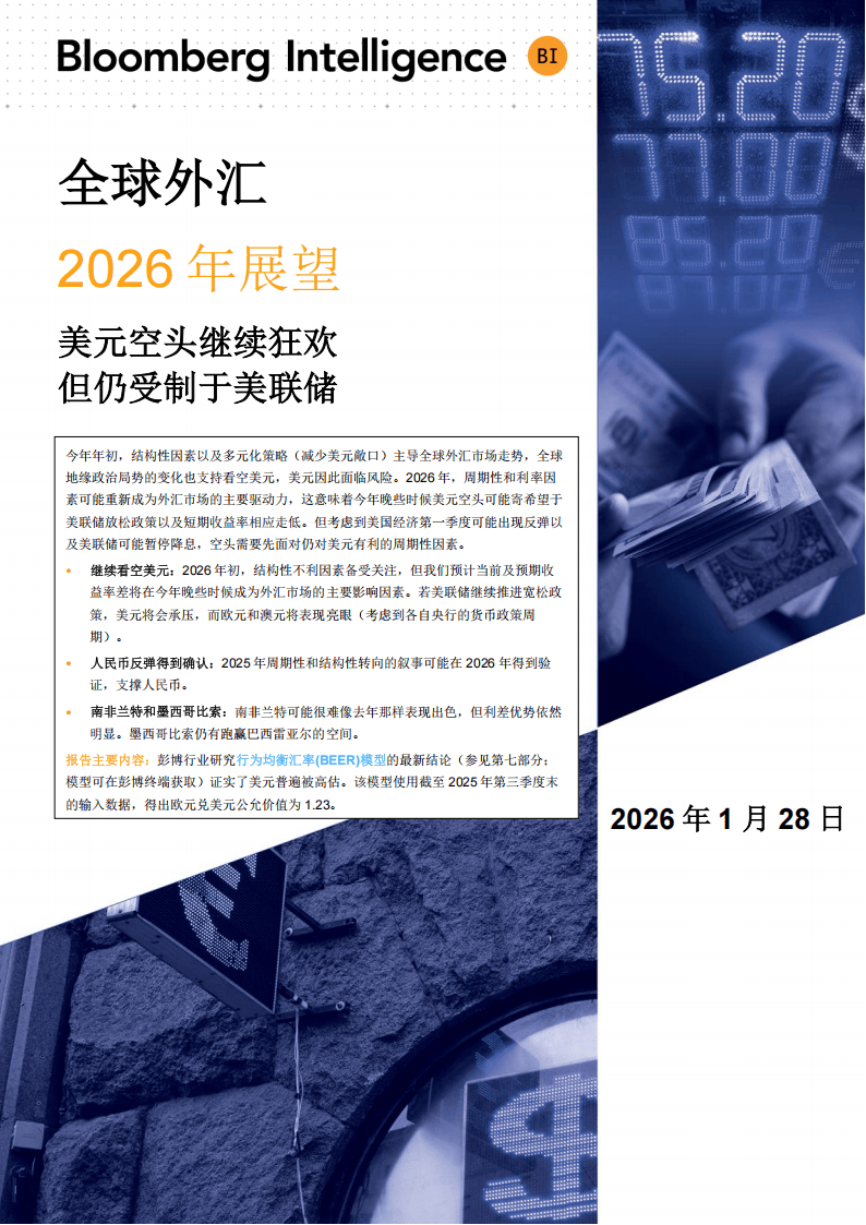 BI：全球外汇2026年展望报告-美元空头继续狂欢_01.png