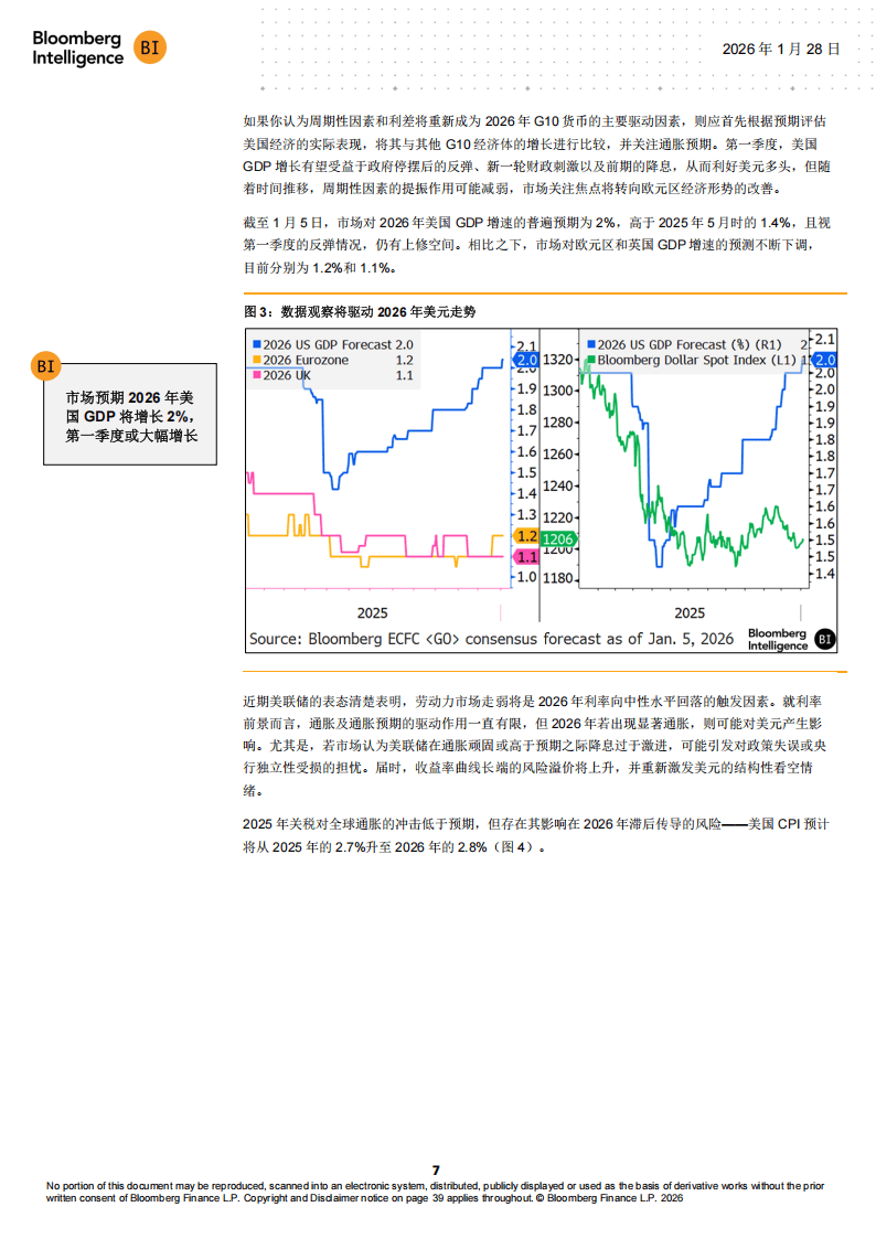BI：全球外汇2026年展望报告-美元空头继续狂欢_08.png