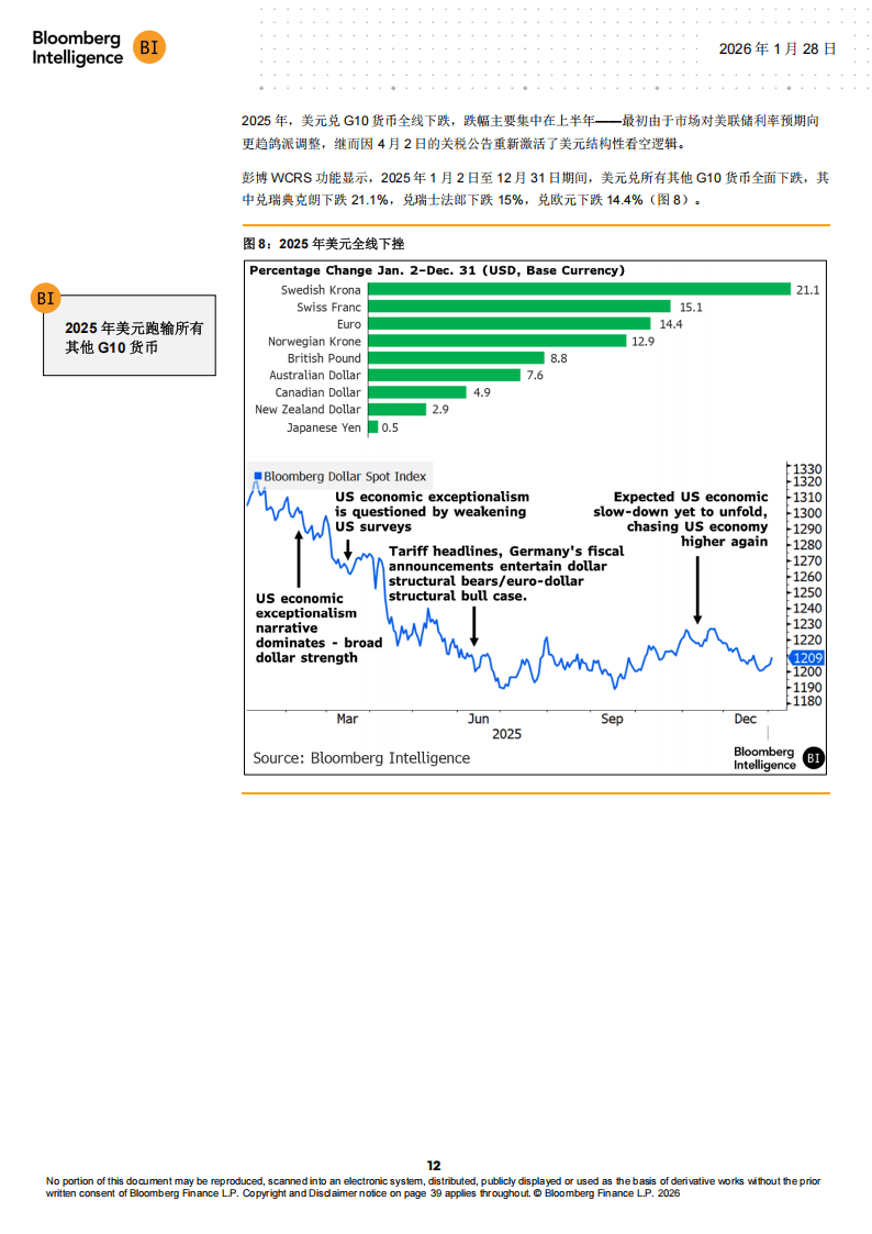 BI：全球外汇2026年展望报告-美元空头继续狂欢_13.png