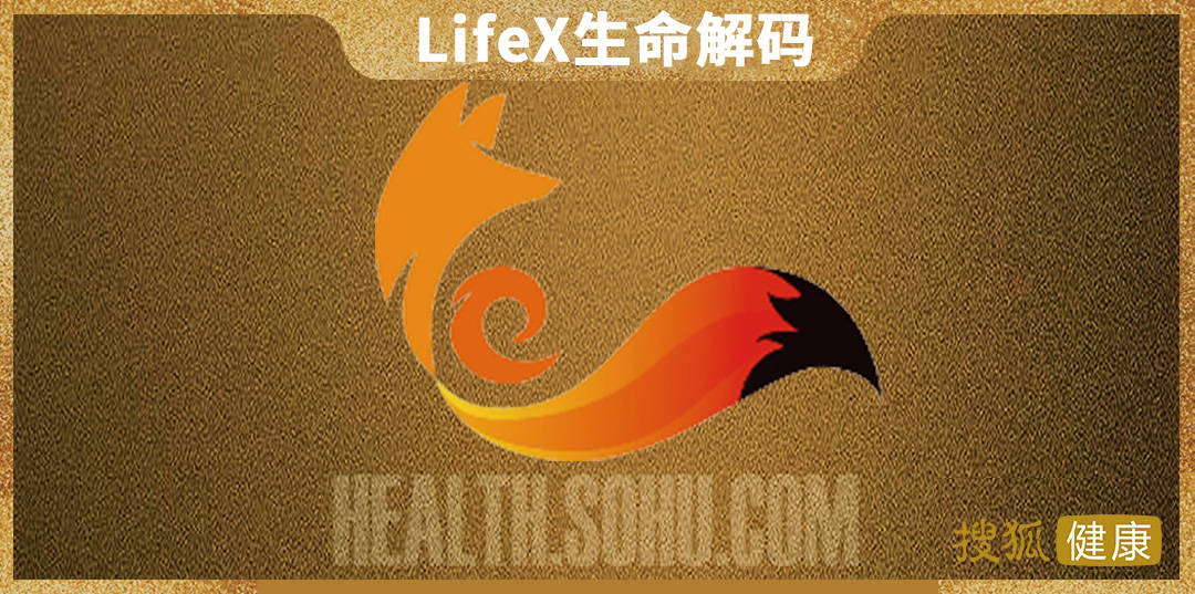 LifeX生命解码.jpg