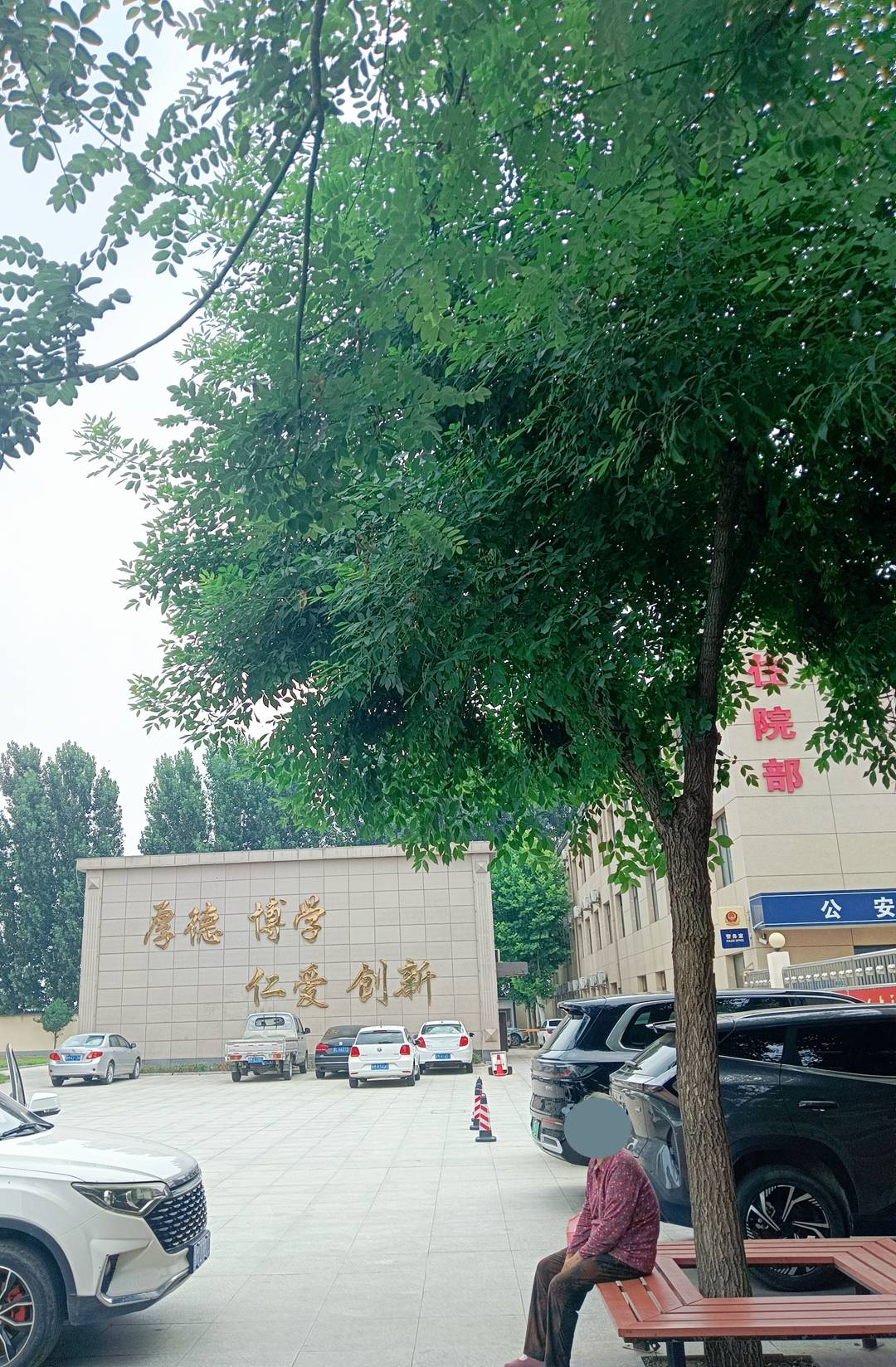 文章配图-1