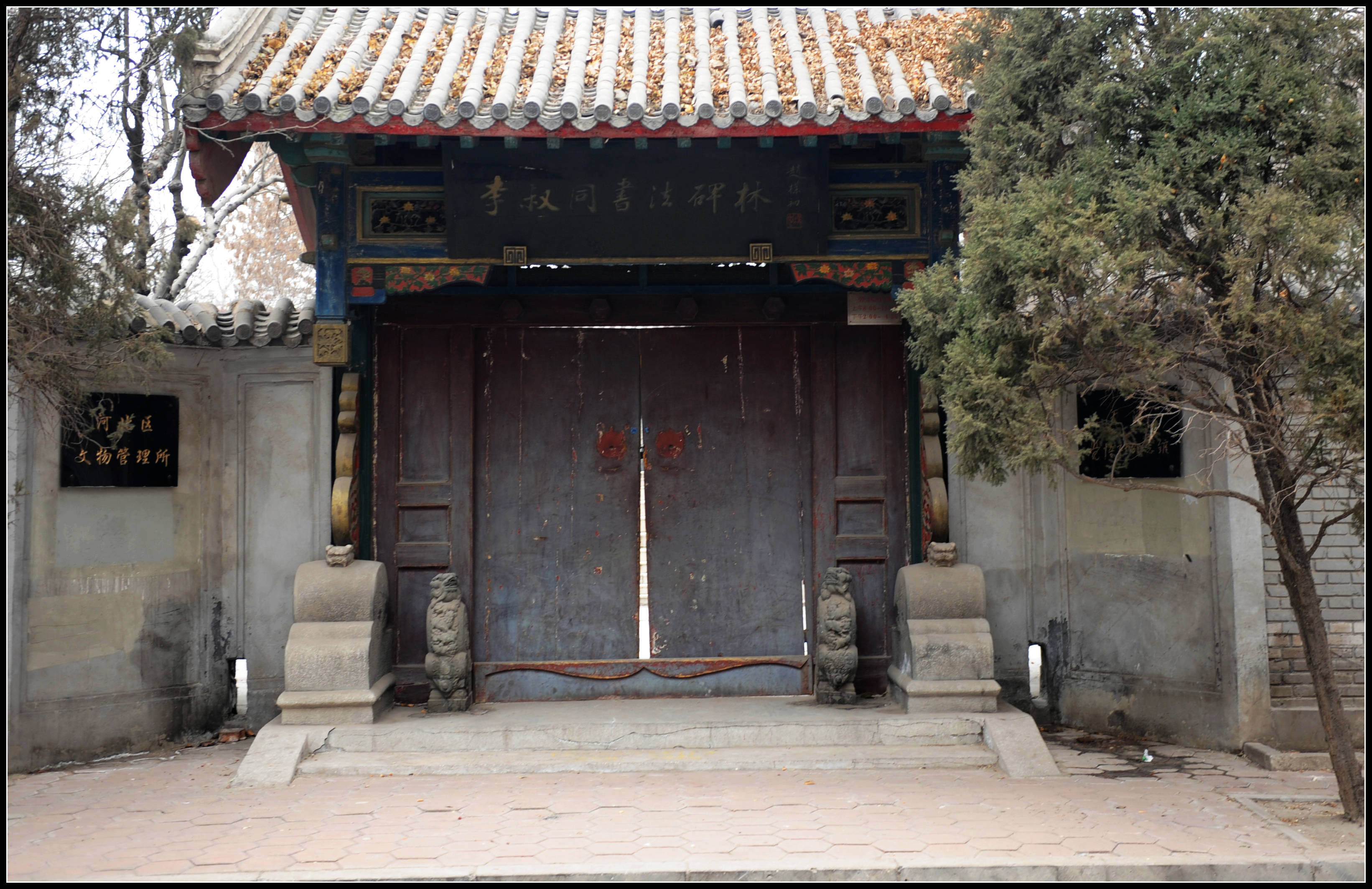 1SL0_5066 (1).JPG
