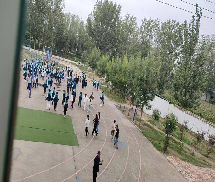 010.jpg