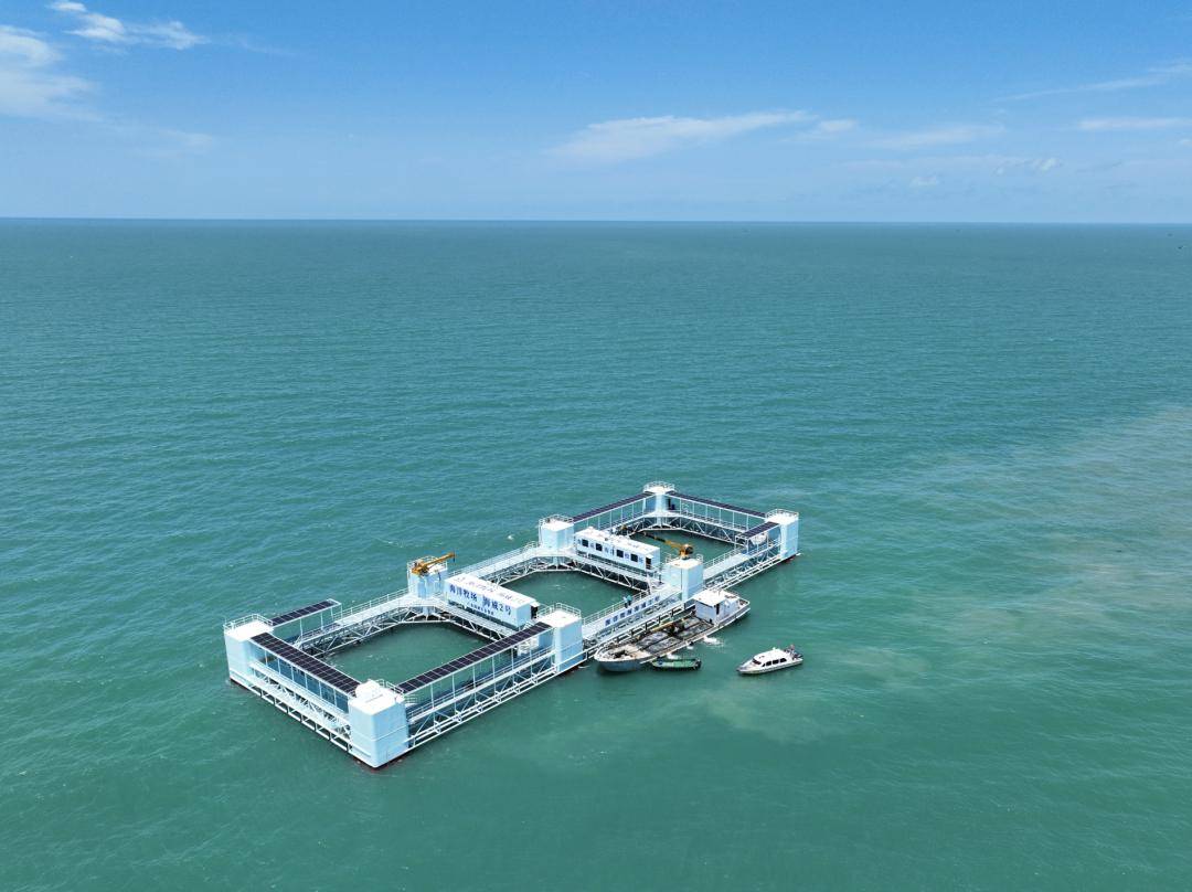 湛江现代化海洋牧场"双百亿"齐飞,重点项目集中开工和签约_养殖_广东
