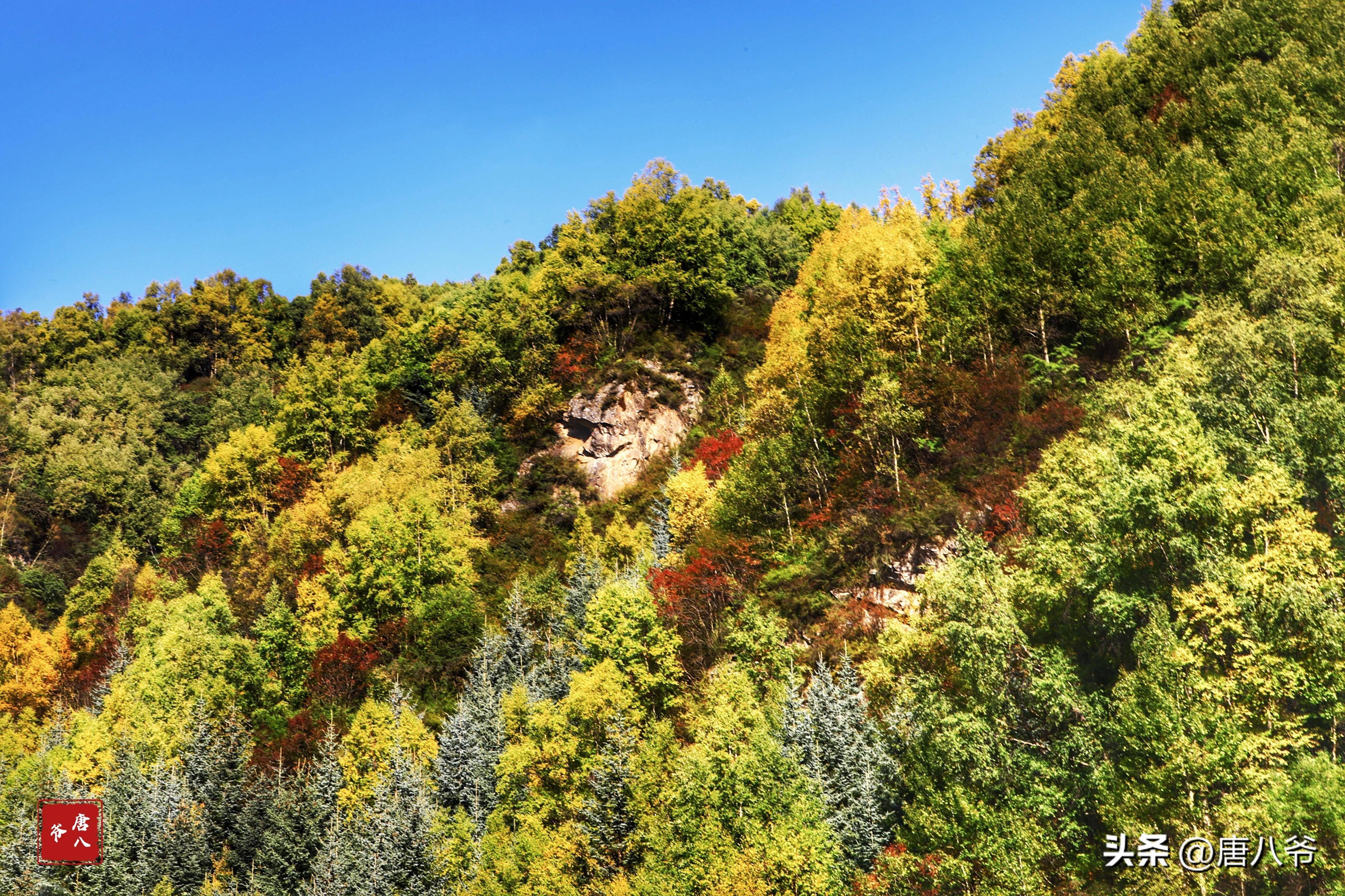 天高云淡,山林如画,大自然的美景总能令人心驰神往