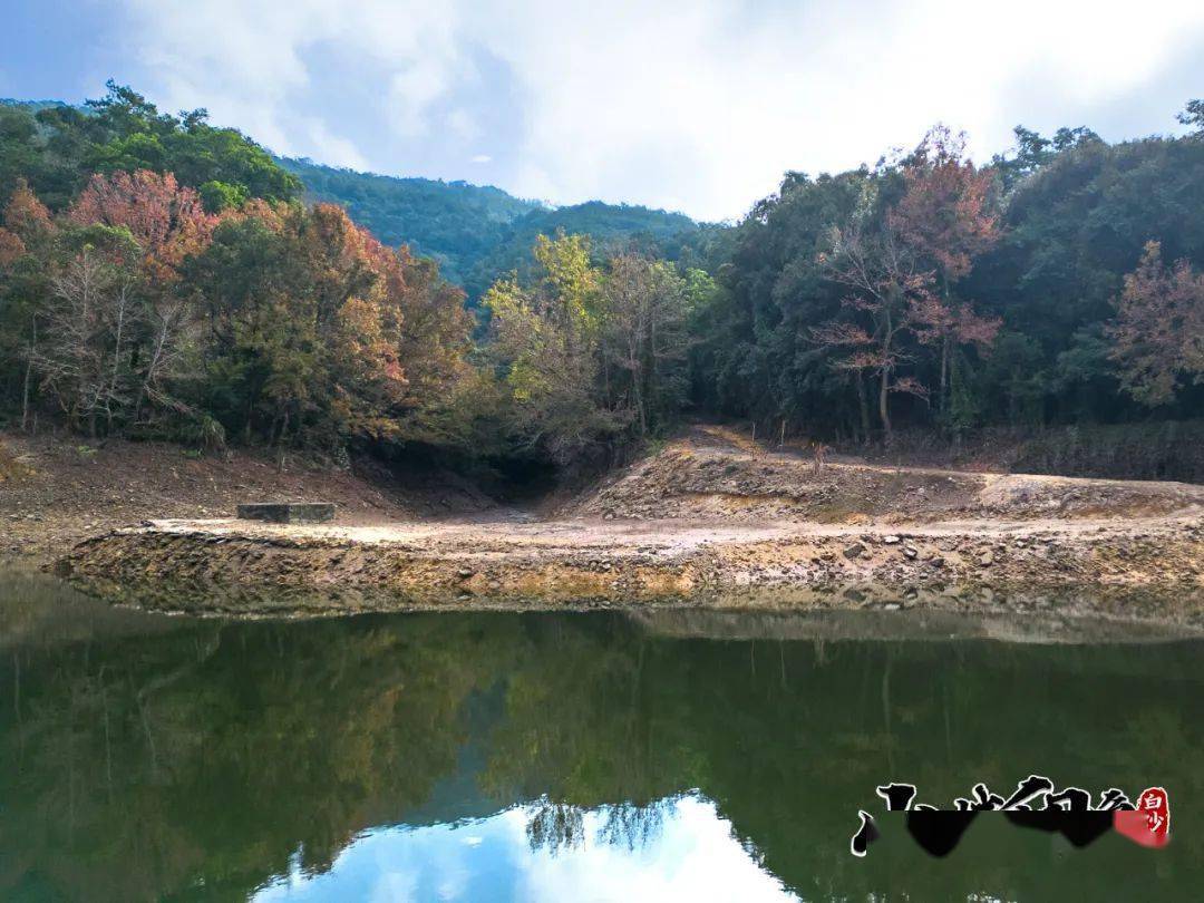 山城印象 | 雨林深處_楓葉_元門鄉_紅坎