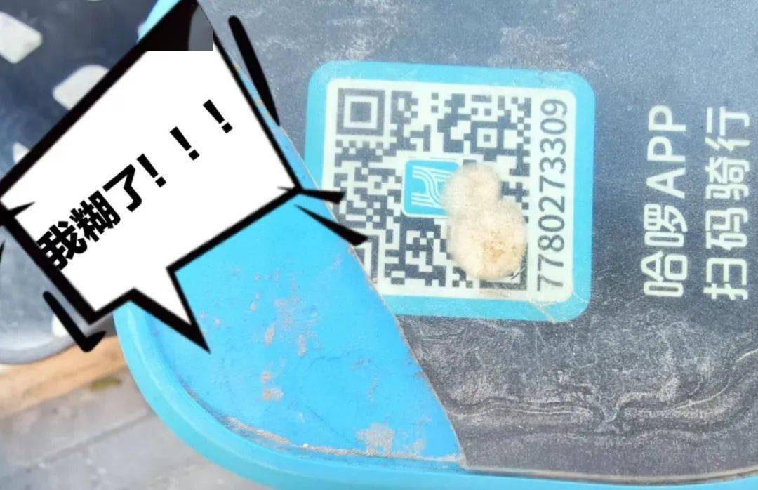 才发现车上的二维码已经被人为破坏了!