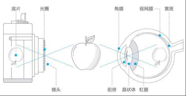 角膜_檢查數據_形態