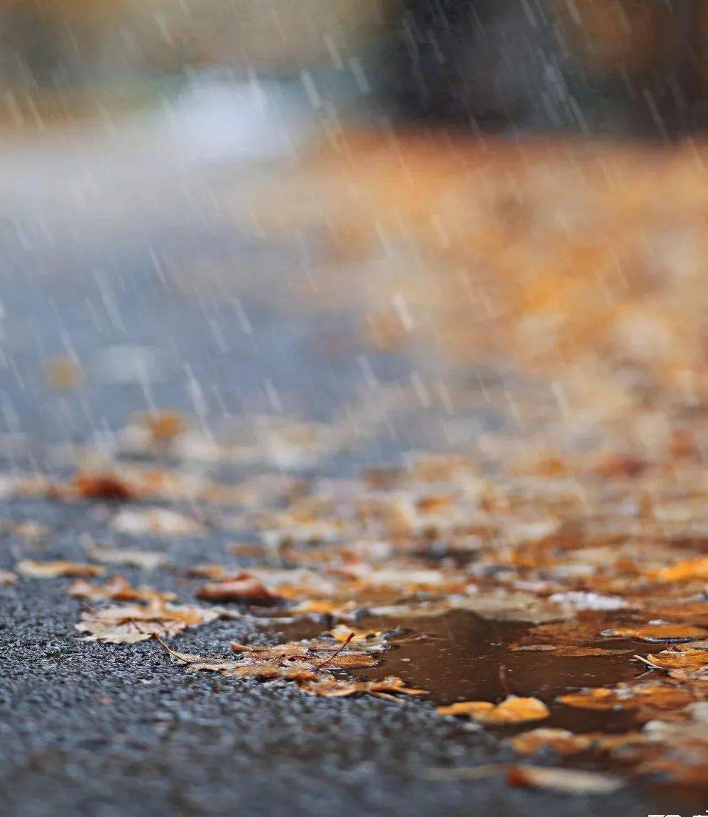 寒雨连江夜入吴背后的台风秋雨