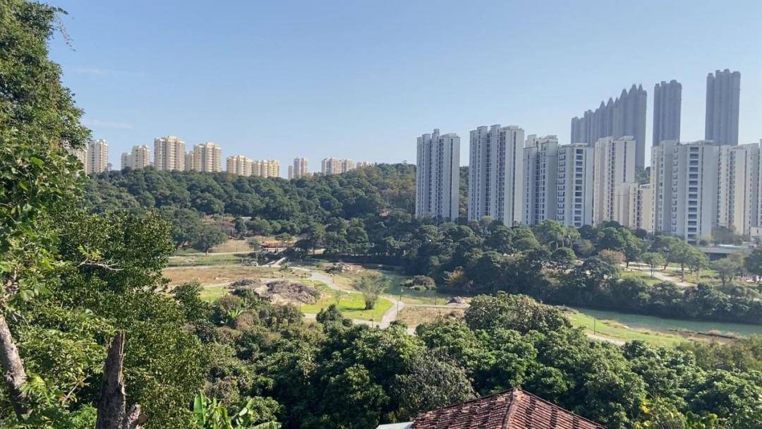 莆田兩處新晉網紅打卡點,位置在._公園