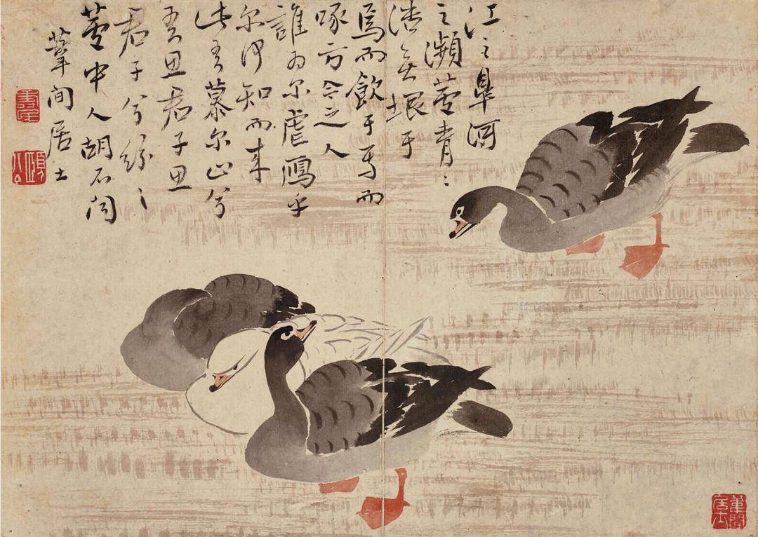 边寿民芦雁图册:浅水平沙落雁群,萧萧芦荻已斜曛_居士_中国_诗词