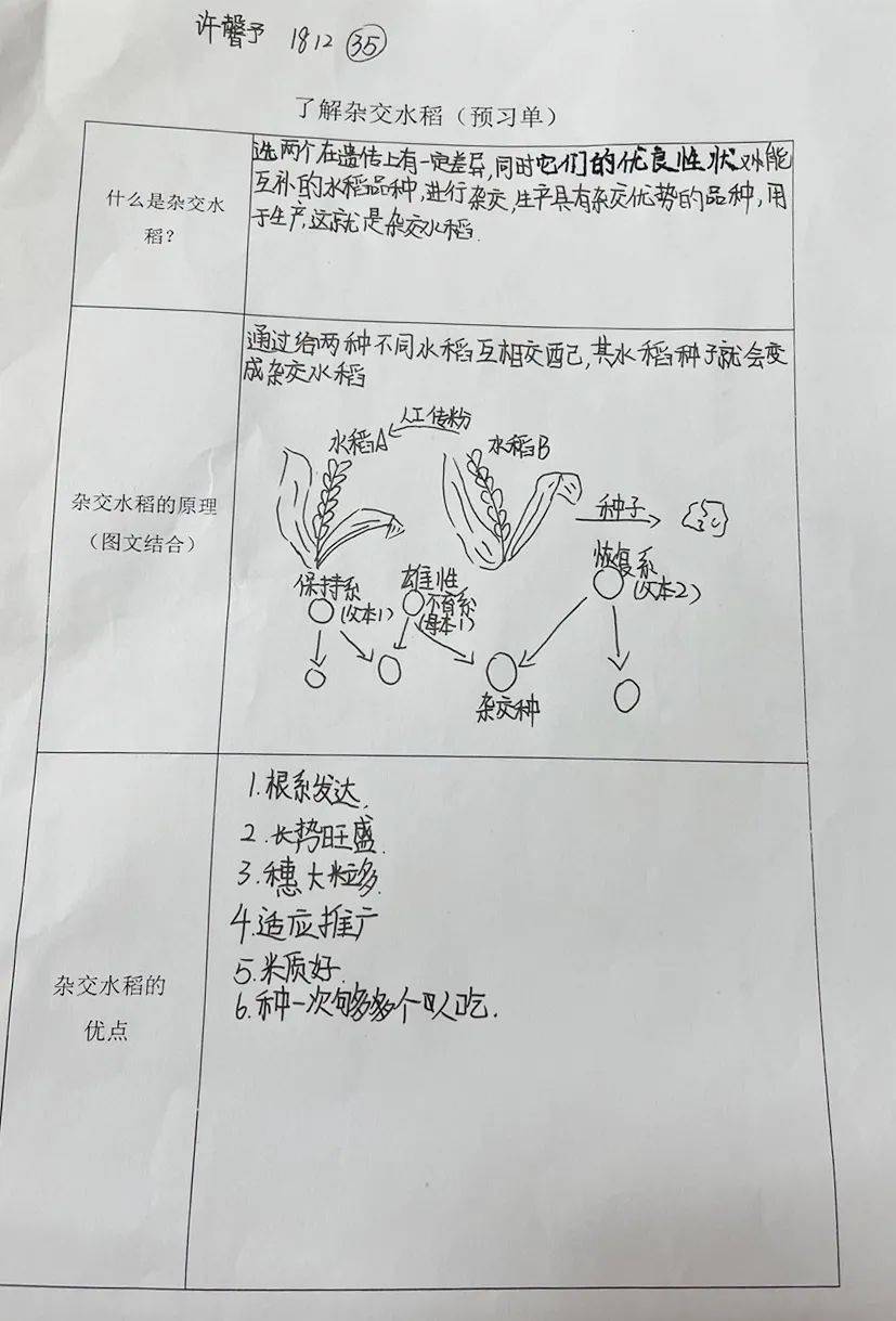 种子的力量手抄报图片图片