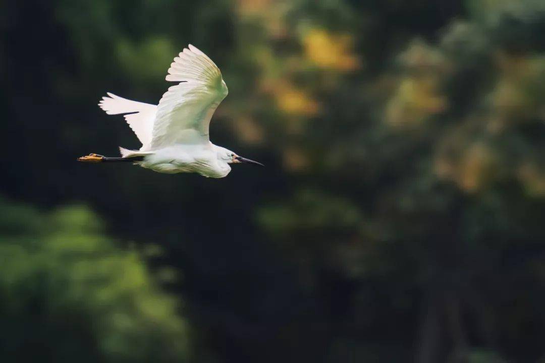 古訓:人生有十坎,安然度過要十悟_是一種_福田_心田