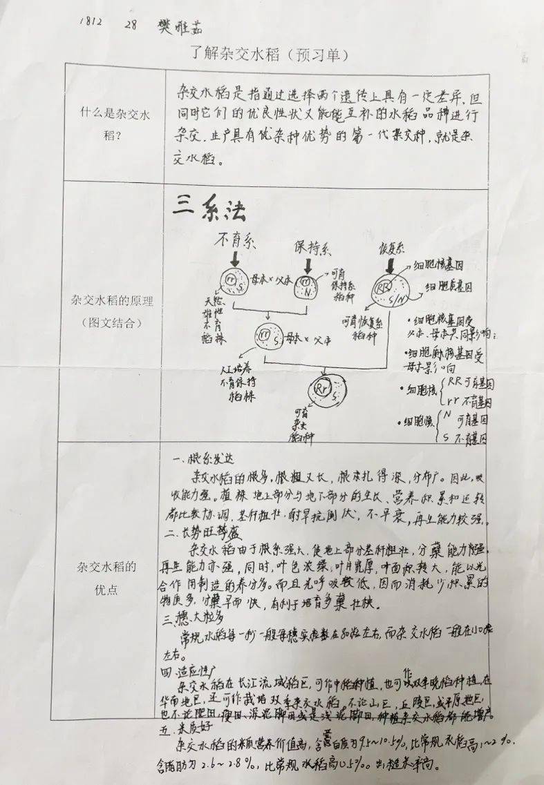 探究課程|跨學科主題式項目課程(二)