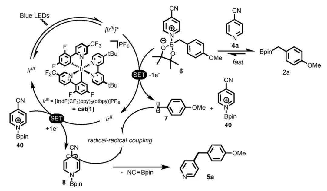 流動化學模式的苄基硼酸頻哪醇酯與氰基雜芳香烴的c(sp2)-c(sp3)鍵