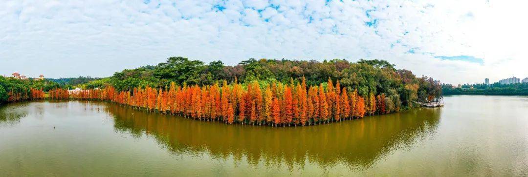 三水云东海:勇挑大梁,打造大湾区特色健康运动小镇|区委全会_发展