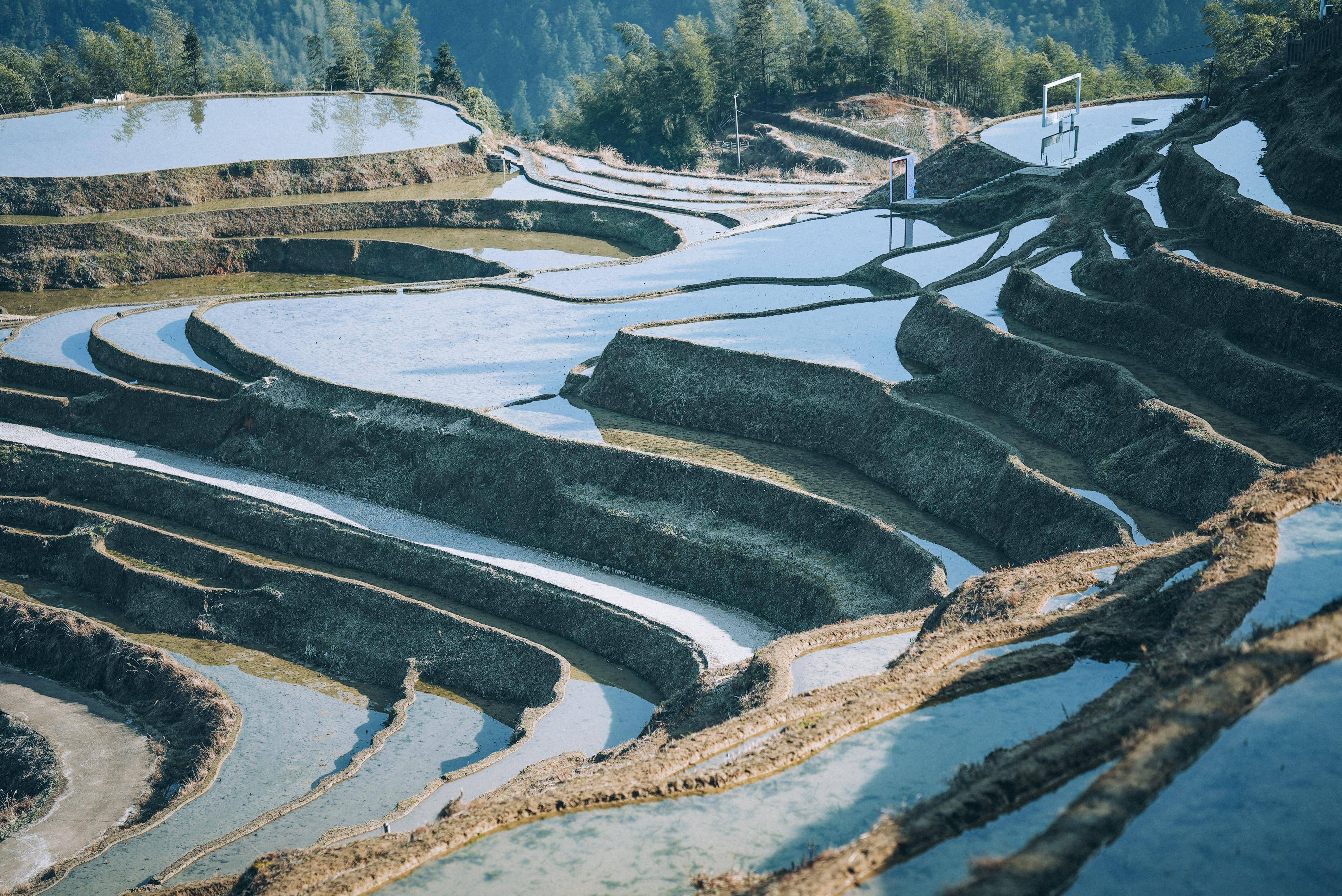 桃源_遂川_大地