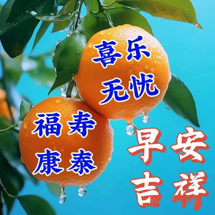 问候早安的苹果图片图片