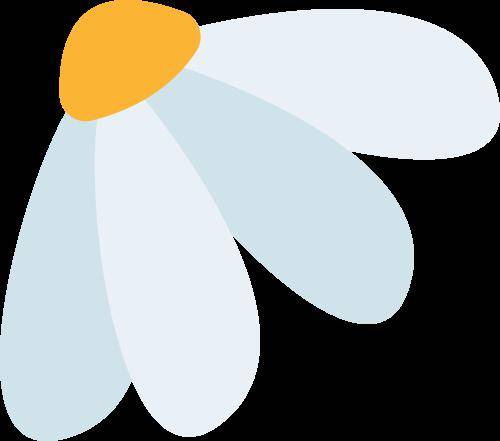 凝"青"聚力 以赛促研 | 2023-2024学年度上期成都