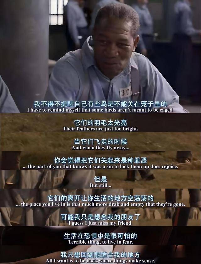 难,再看《肖申克的救赎》:在绝望中寻找希望的光芒