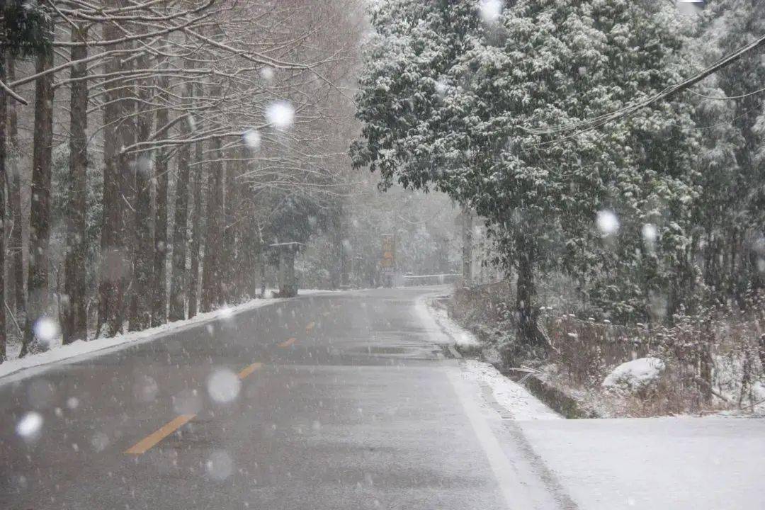 中雪是多大的雪图片