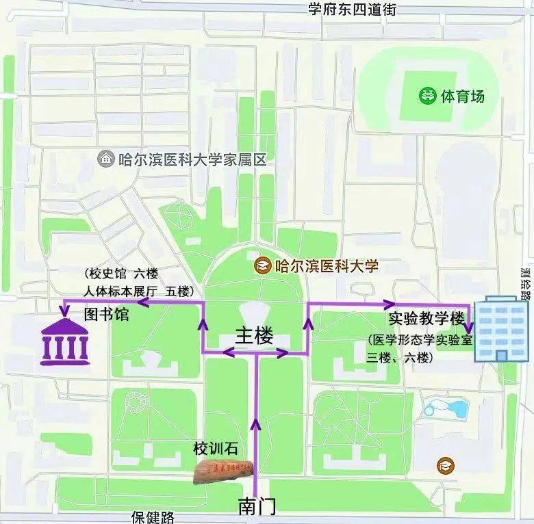 医学_医大二院_标本