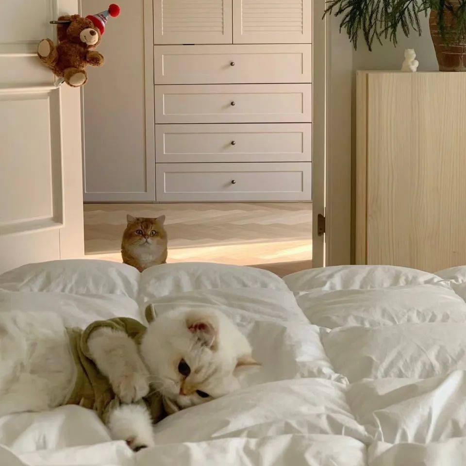 头像 | 微信头像 非常适合你