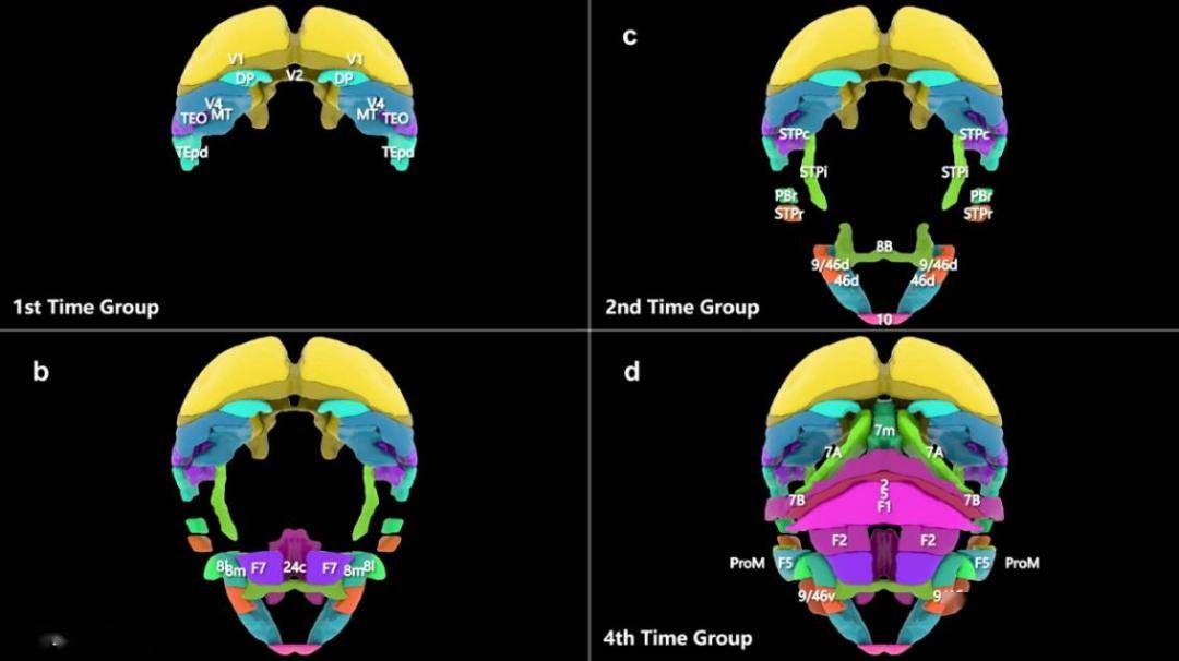 于布为教授发表基于类脑研究全麻机制的研究_麻醉_意识_节律