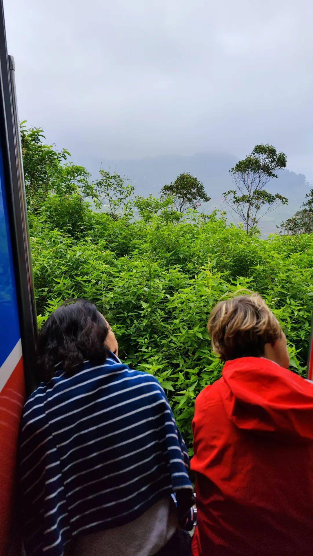 攻略| 刚从斯里兰卡回来，我的建议是，直接冲！_搜狐网