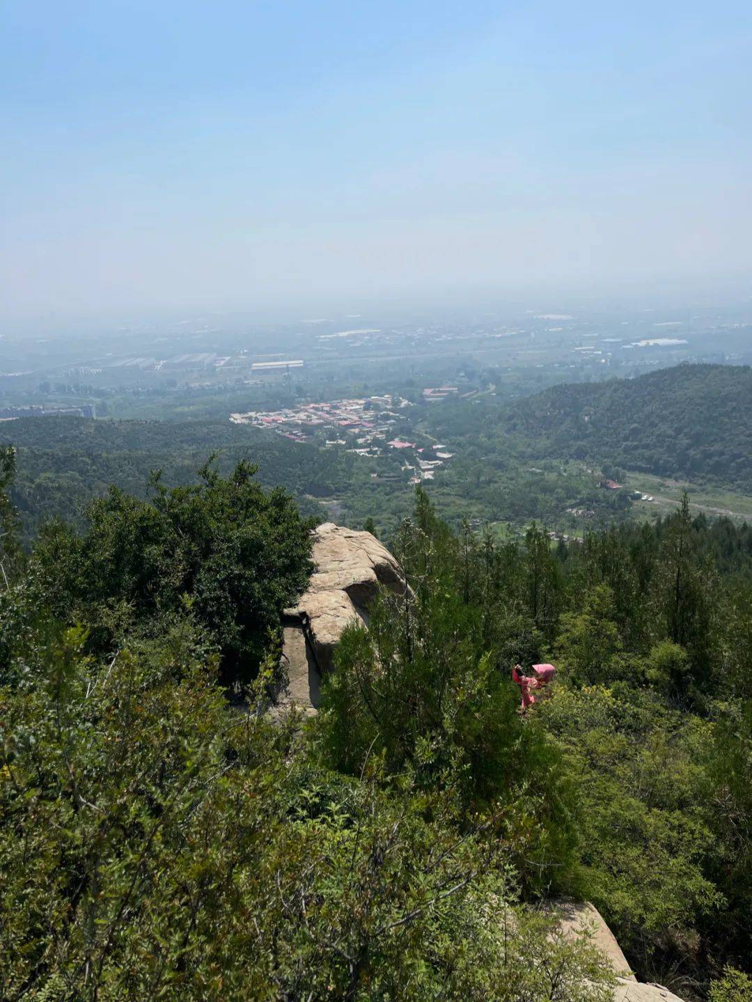 南山供秀