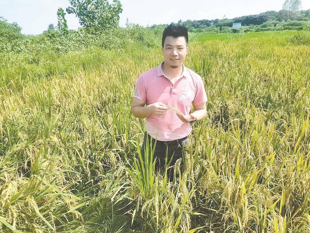 人工智能博士当起新农人