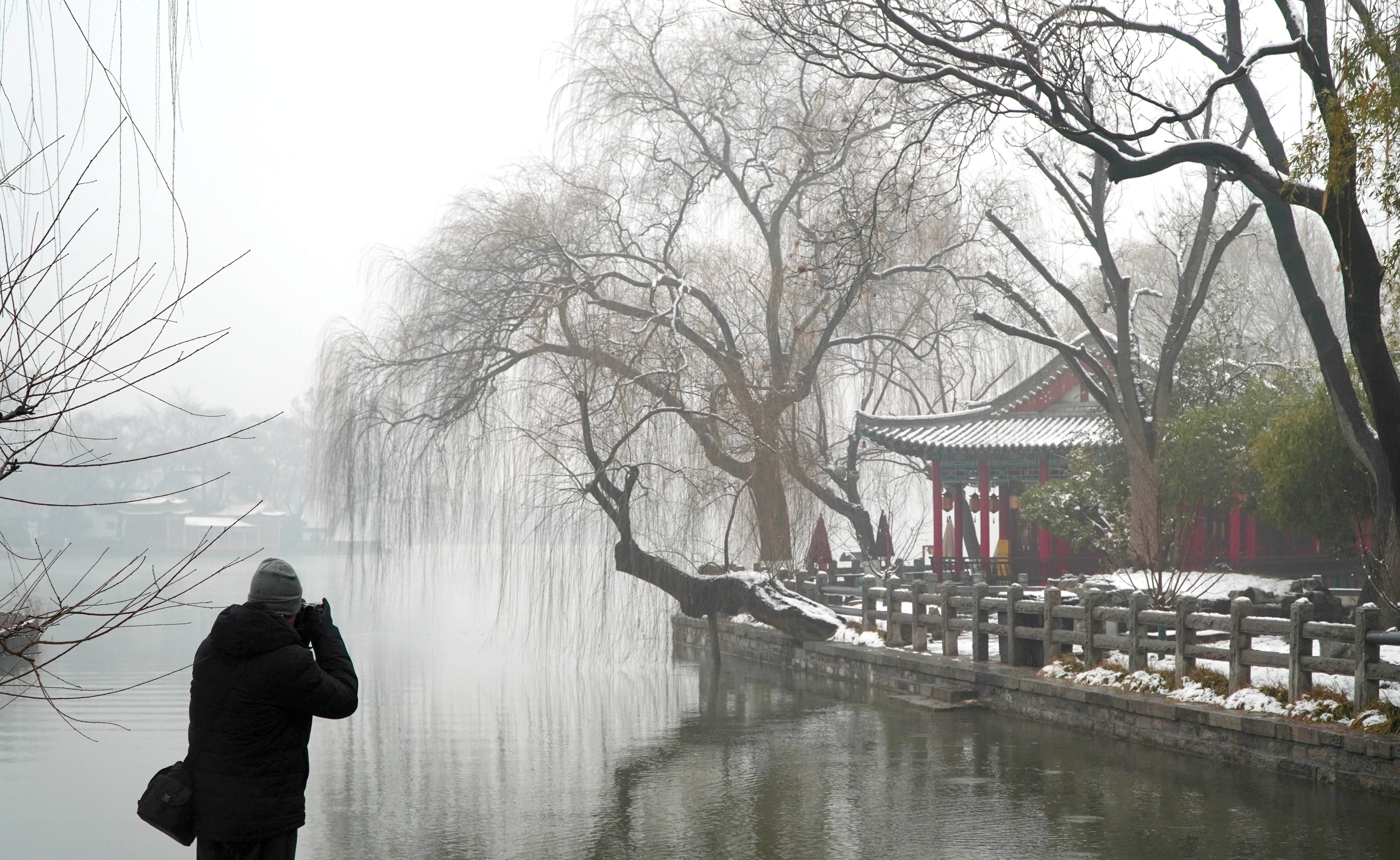 1月17日,游客在大明湖拍摄雪景. 新华社记者 徐速绘 摄