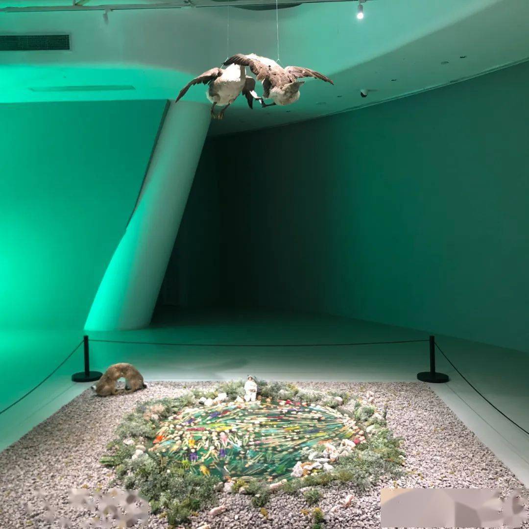 李琳琳:在这里,供养自己 | 100 · 艺术家工作室_艺术创作者_生活