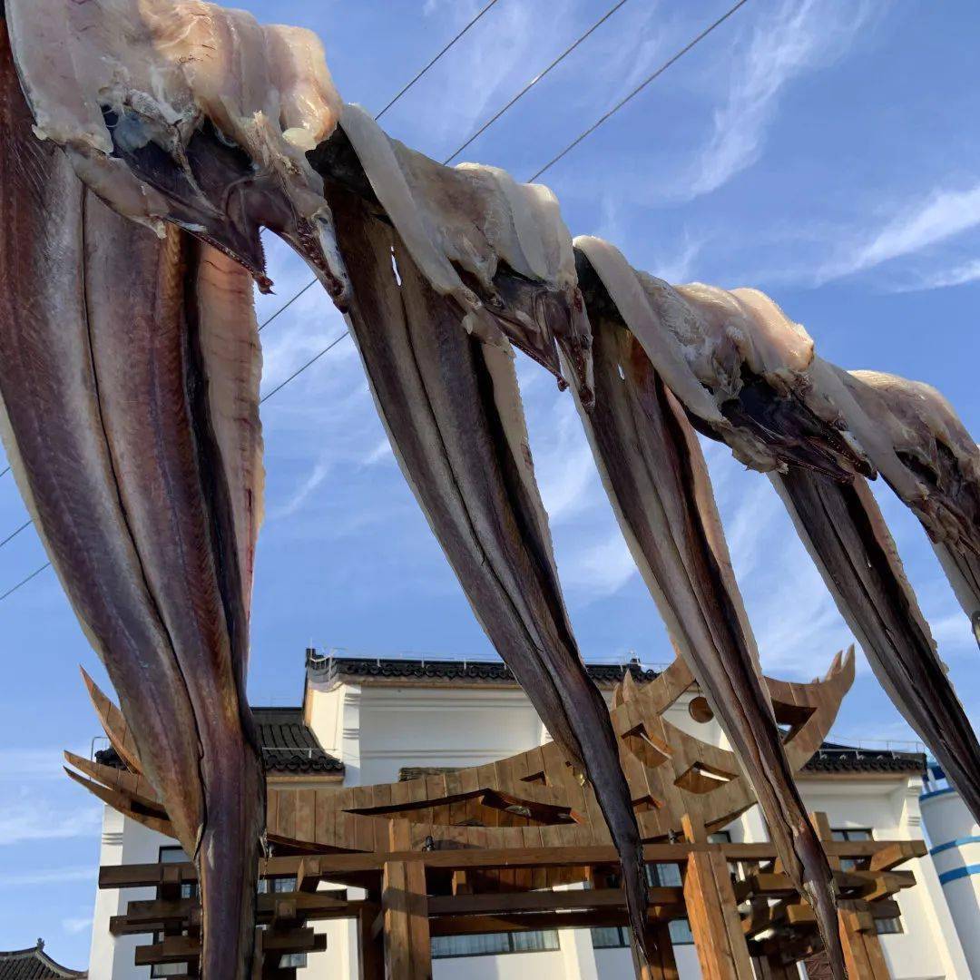 鲜美正当季～渔村冬季吃什么海鲜?_山嘴_南路_上海