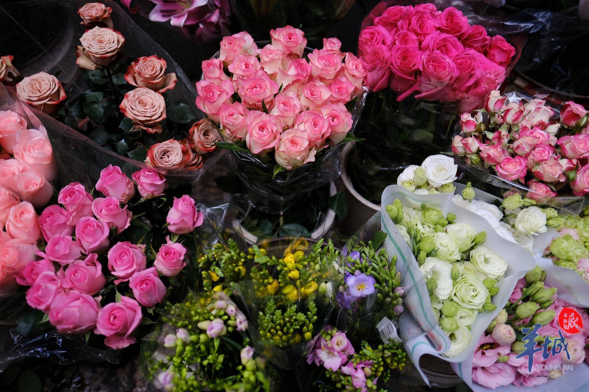 秋明拍花|漫步小巷,遇见"花姐"_广州_街坊_斤半